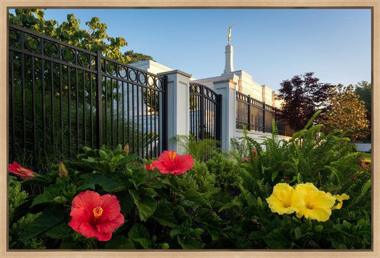 Memphis Flowers