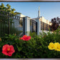 Memphis Flowers