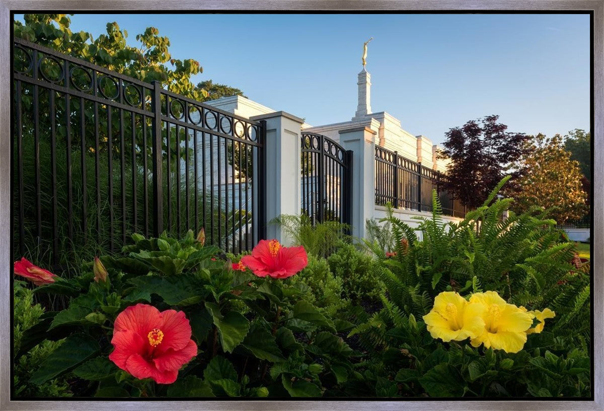 Memphis Flowers