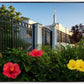 Memphis Flowers