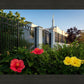 Memphis Flowers