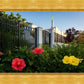 Memphis Flowers