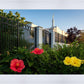 Memphis Flowers