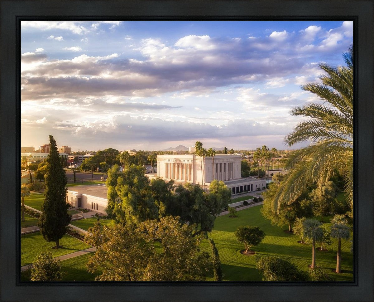 Mesa Afternoon Aerial
