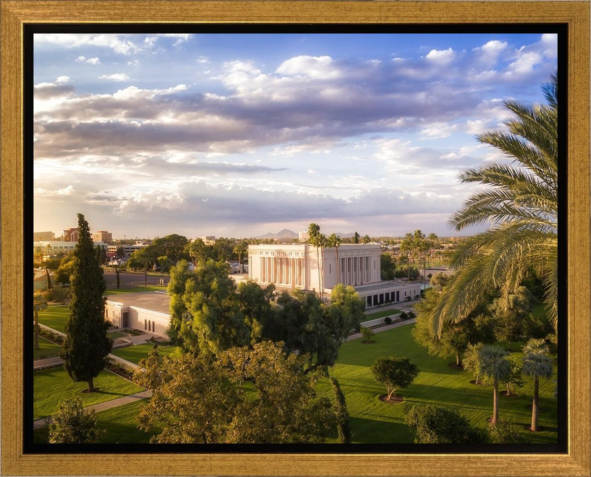 Mesa Afternoon Aerial