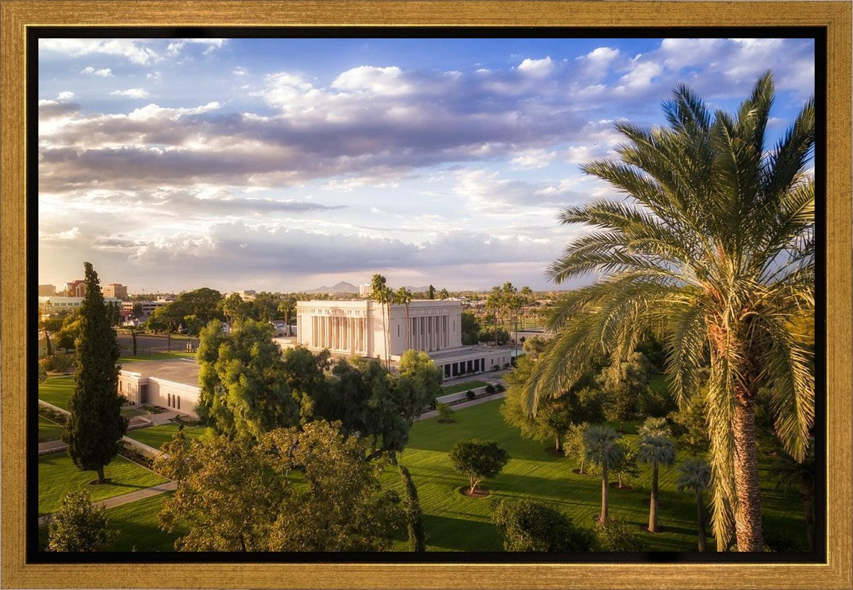 Mesa Afternoon Aerial