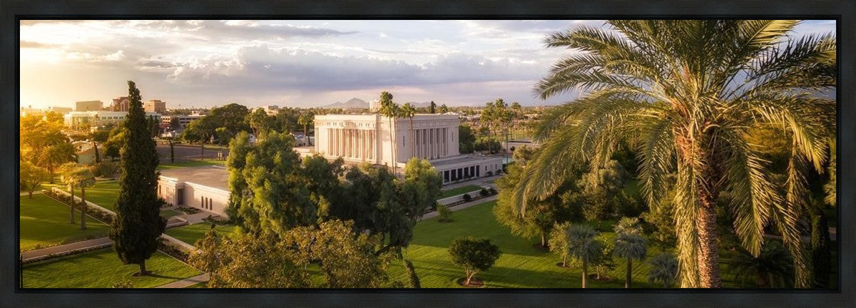 Mesa Afternoon Aerial