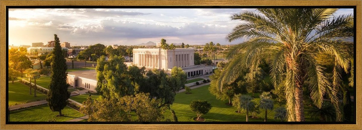Mesa Afternoon Aerial