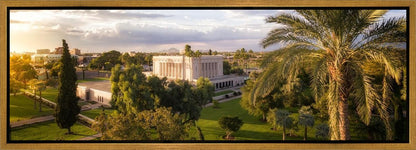 Mesa Afternoon Aerial