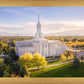 Golden Timpanogos