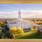 Golden Timpanogos
