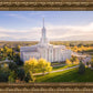 Golden Timpanogos
