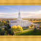 Golden Timpanogos