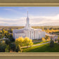 Golden Timpanogos