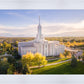 Golden Timpanogos