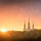 Washington DC Sunset Gold