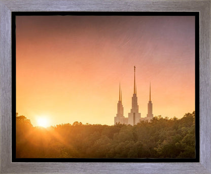 Washington DC Sunset Gold