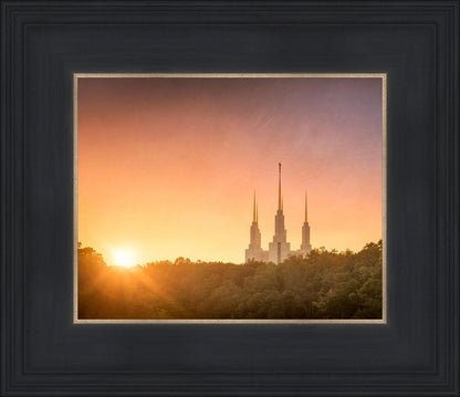 Washington DC Sunset Gold