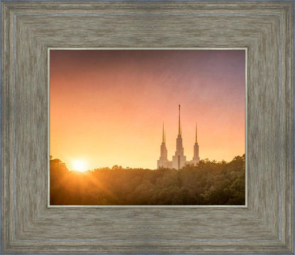 Washington DC Sunset Gold