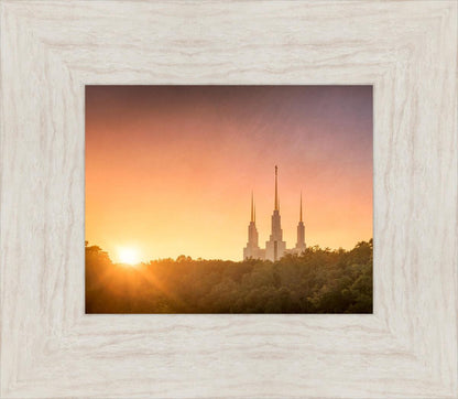 Washington DC Sunset Gold