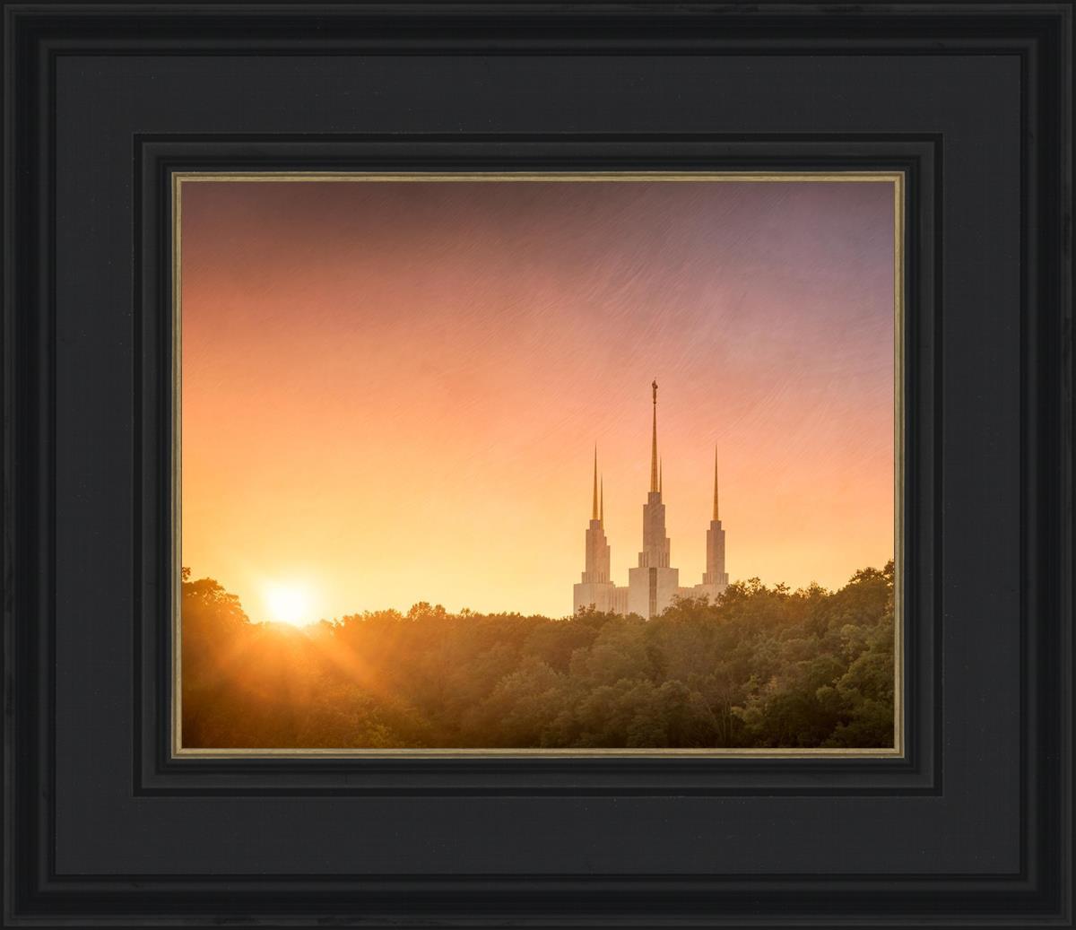 Washington DC Sunset Gold