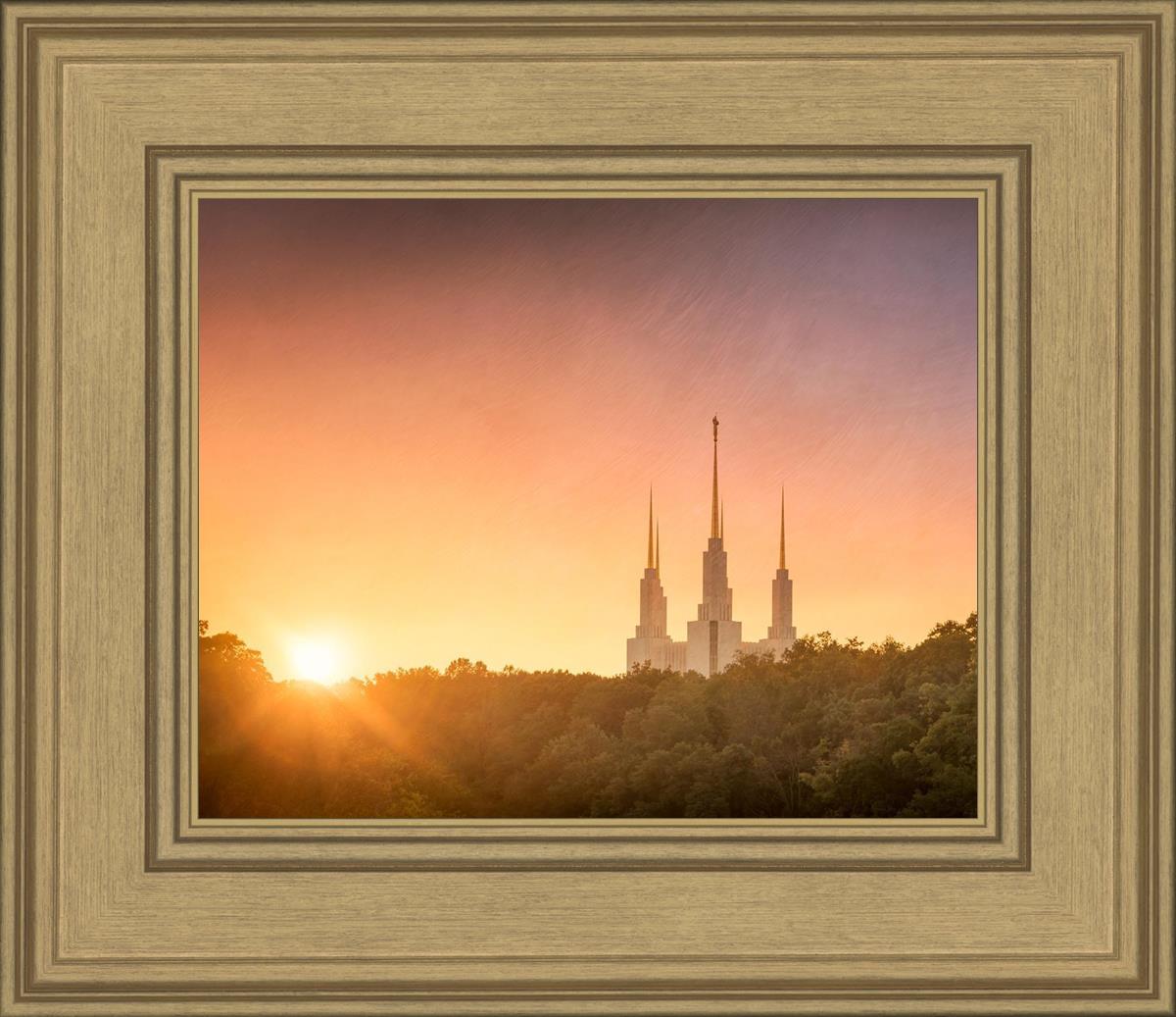 Washington DC Sunset Gold