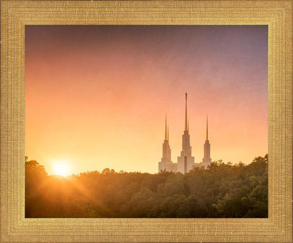 Washington DC Sunset Gold