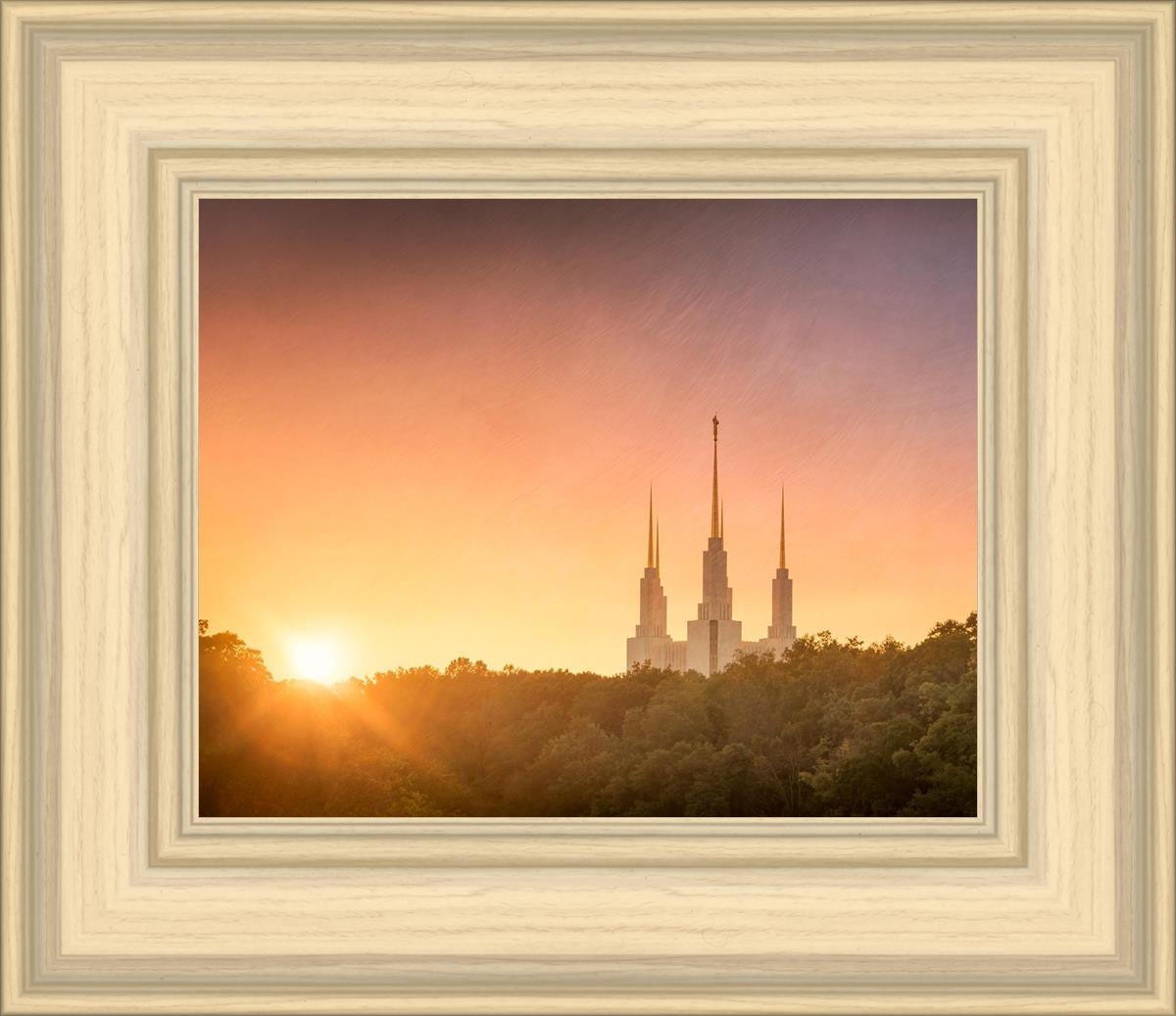 Washington DC Sunset Gold