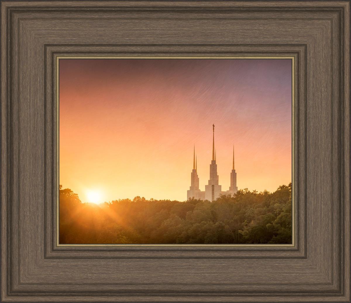 Washington DC Sunset Gold