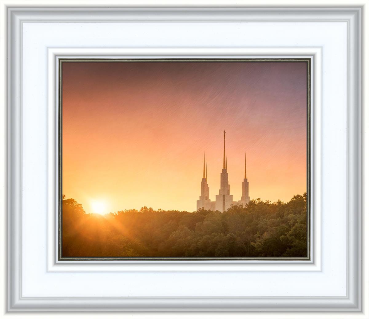 Washington DC Sunset Gold