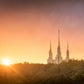 Washington DC Sunset Gold