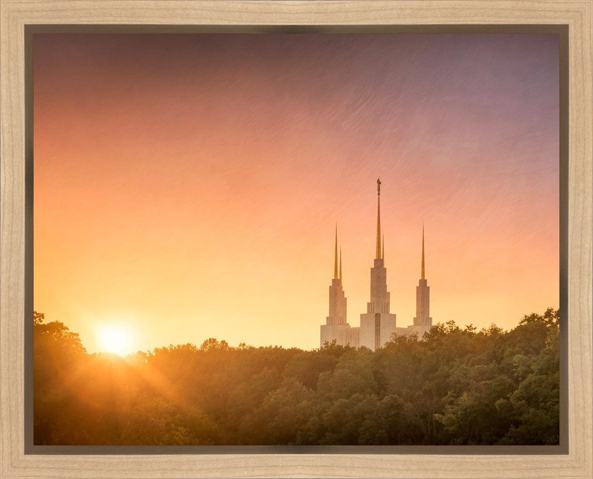 Washington DC Sunset Gold Gallery Wrap