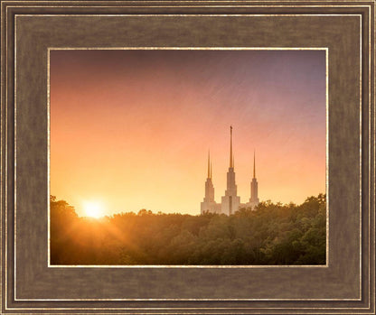 Washington DC Sunset Gold