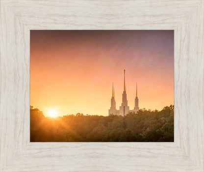 Washington DC Sunset Gold