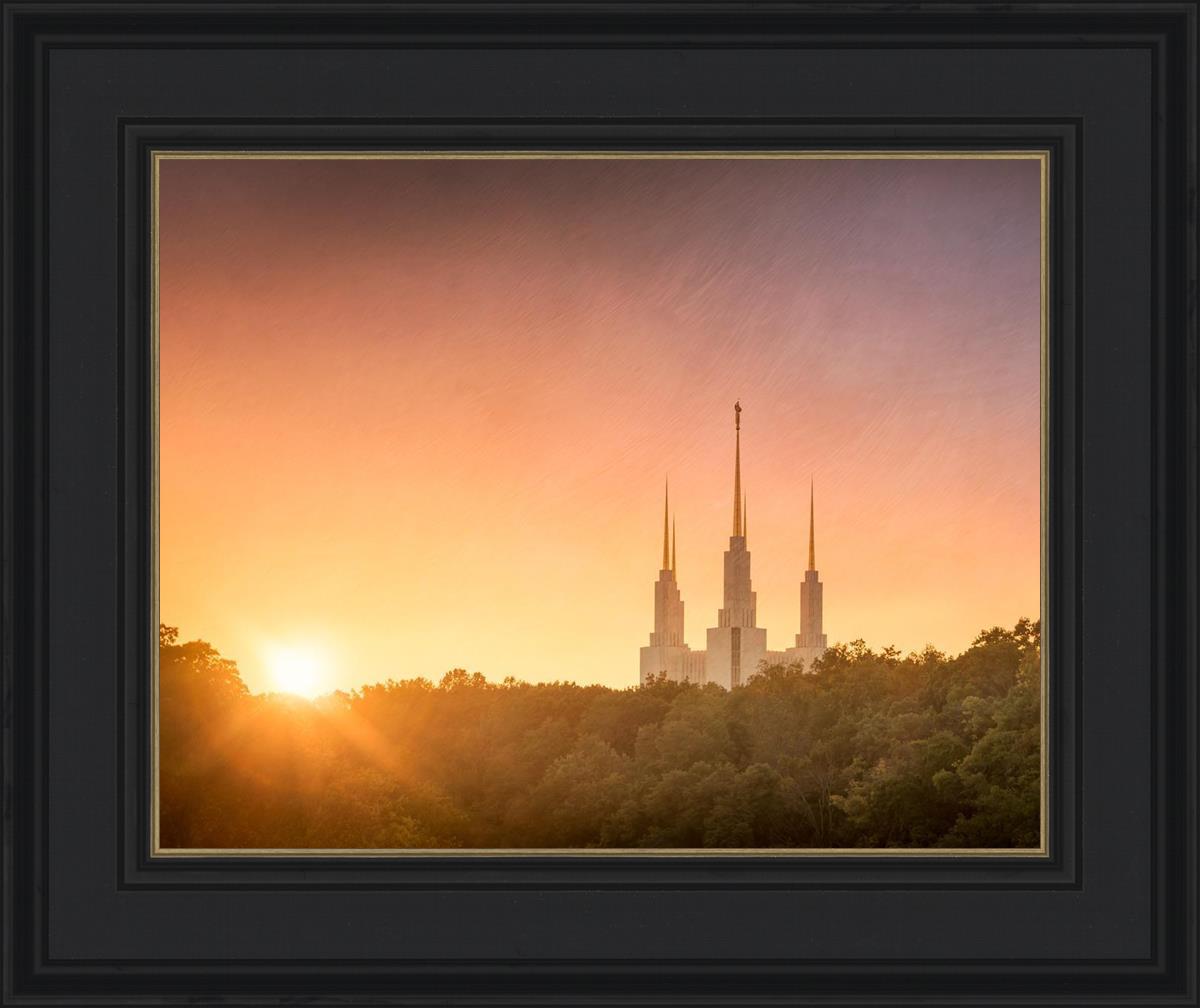 Washington DC Sunset Gold