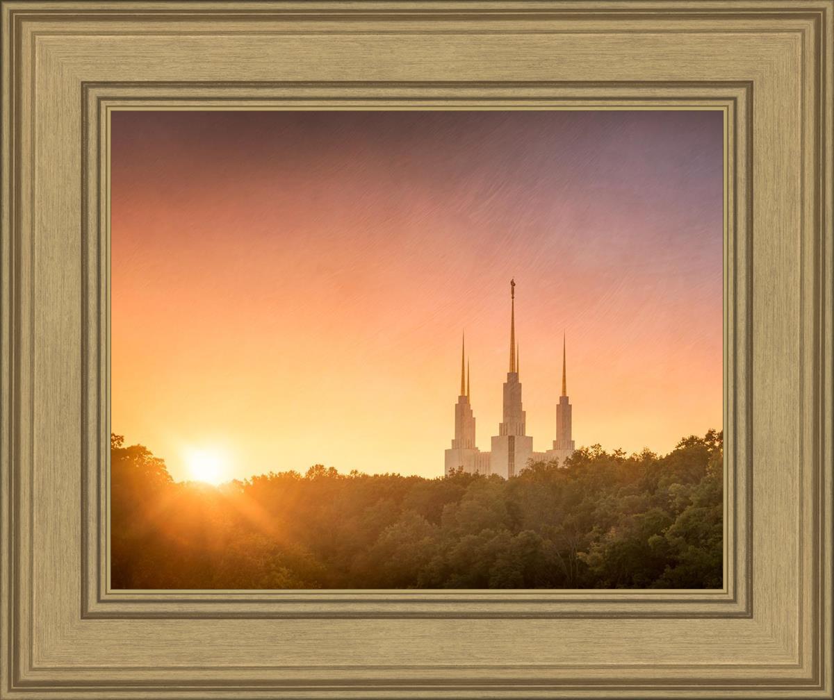 Washington DC Sunset Gold