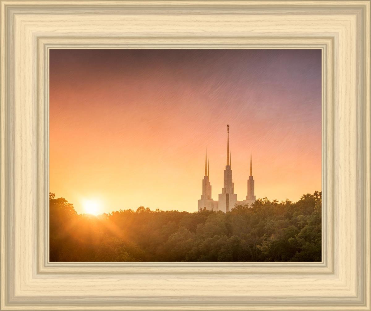Washington DC Sunset Gold