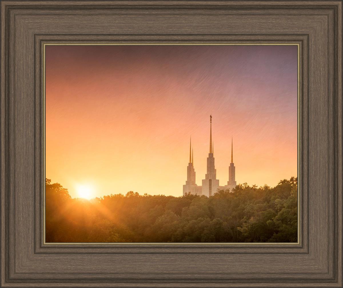 Washington DC Sunset Gold