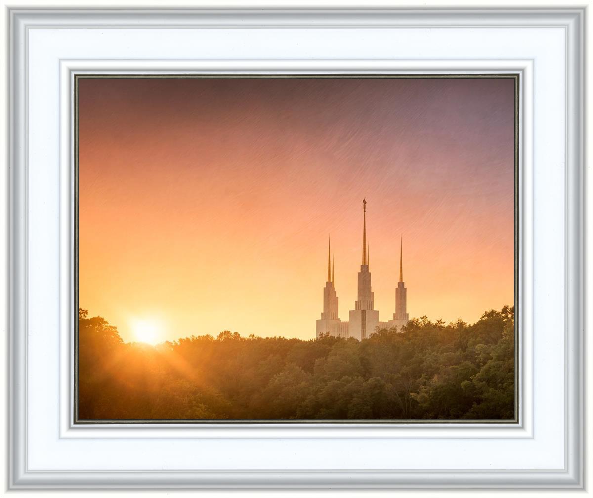 Washington DC Sunset Gold