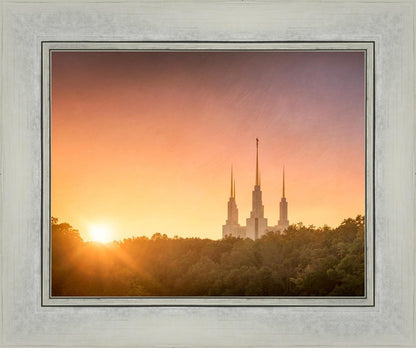 Washington DC Sunset Gold