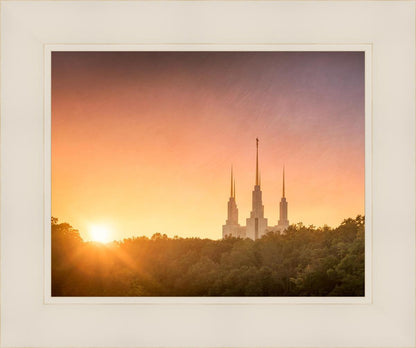 Washington DC Sunset Gold