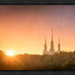Washington DC Sunset Gold
