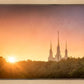 Washington DC Sunset Gold