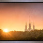Washington DC Sunset Gold