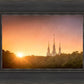 Washington DC Sunset Gold
