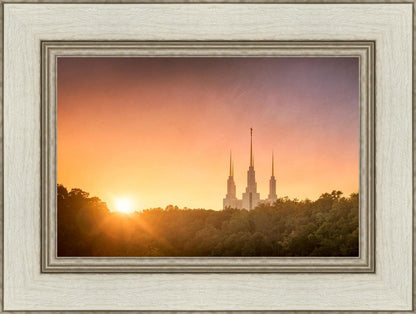 Washington DC Sunset Gold