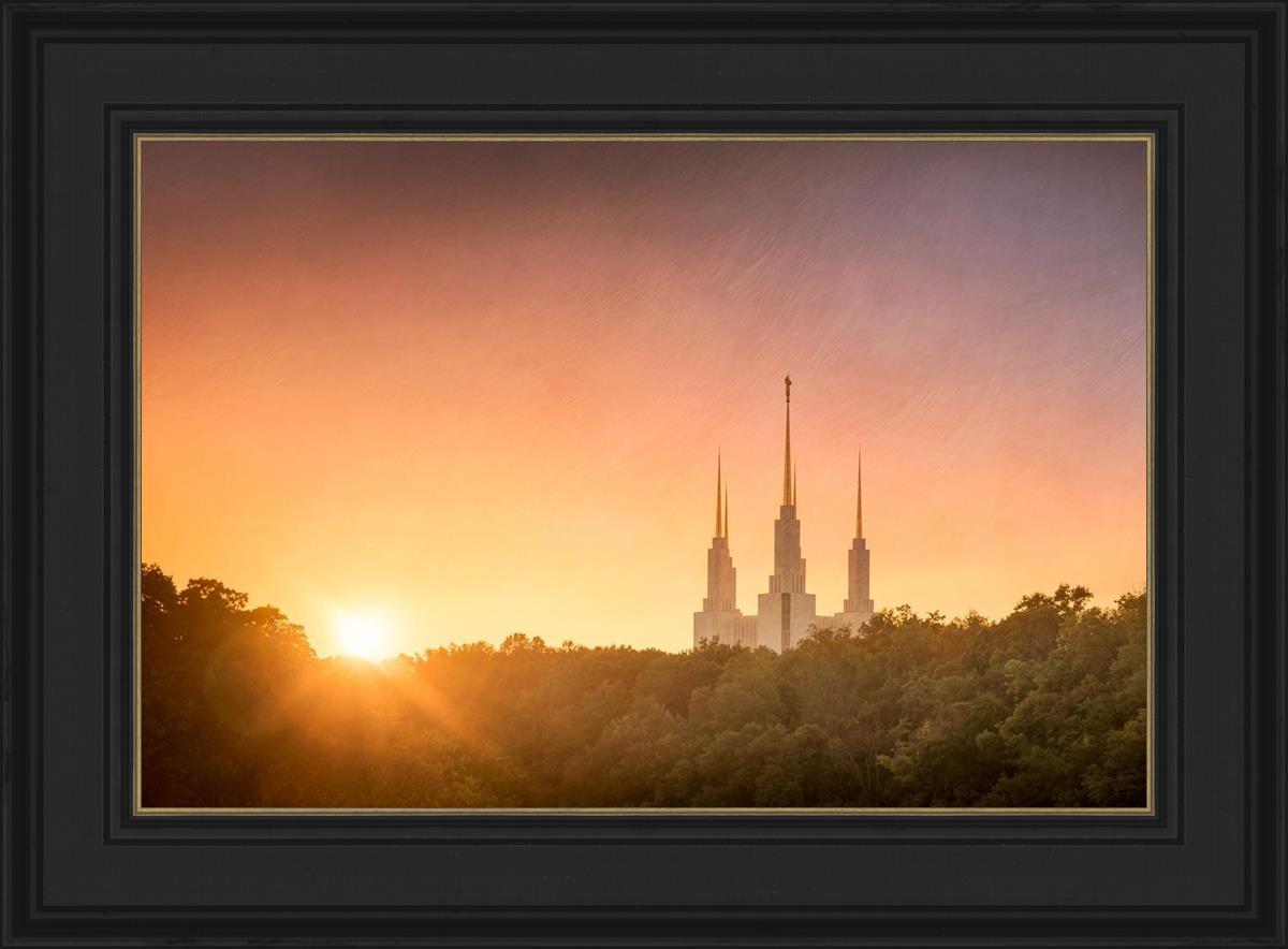 Washington DC Sunset Gold