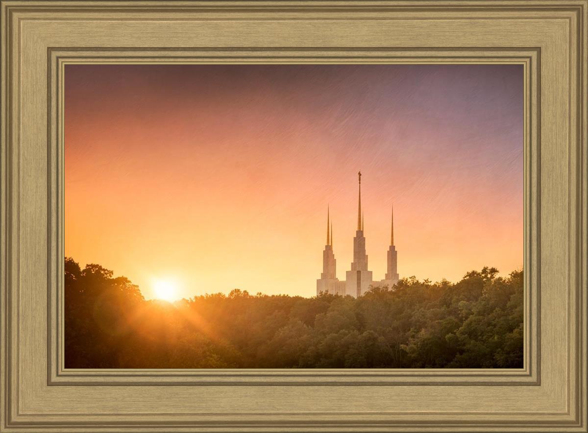 Washington DC Sunset Gold
