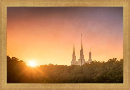 Washington DC Sunset Gold