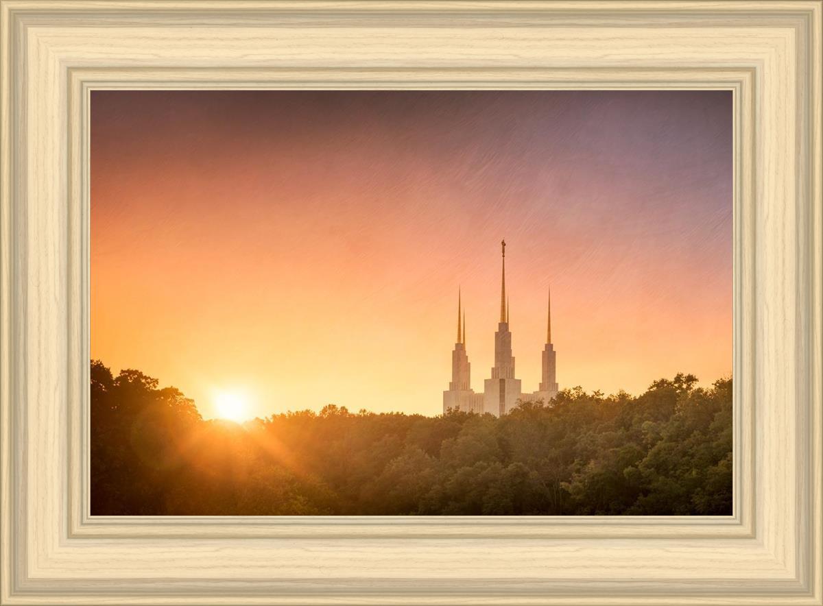 Washington DC Sunset Gold